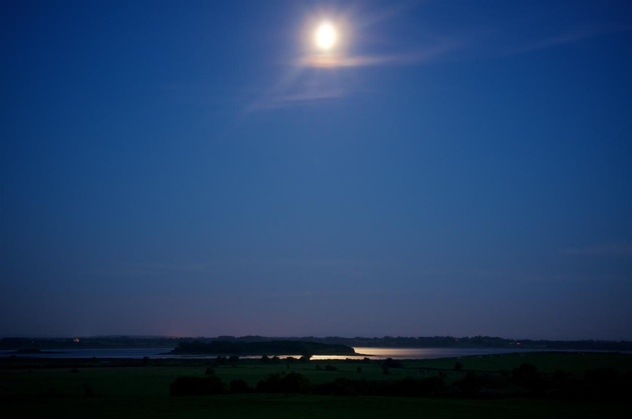 Bunratty Meadows Bed & Breakfast Eksteriør billede